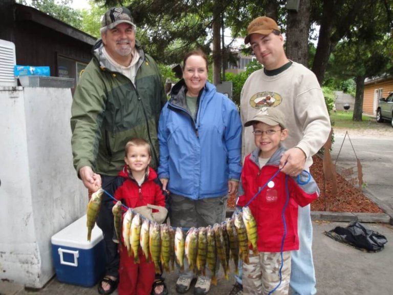 Young Family Proudly Shows Off Their String of Perch Fish Caught on Cass Lake