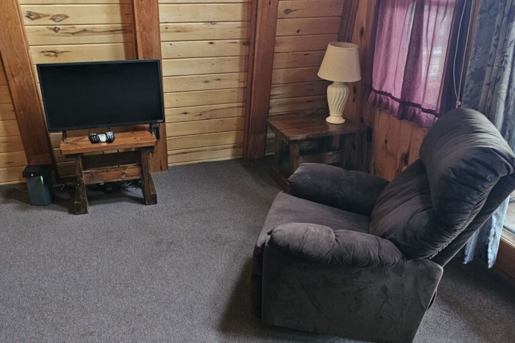 Alpine Cabin #20 - Living Room