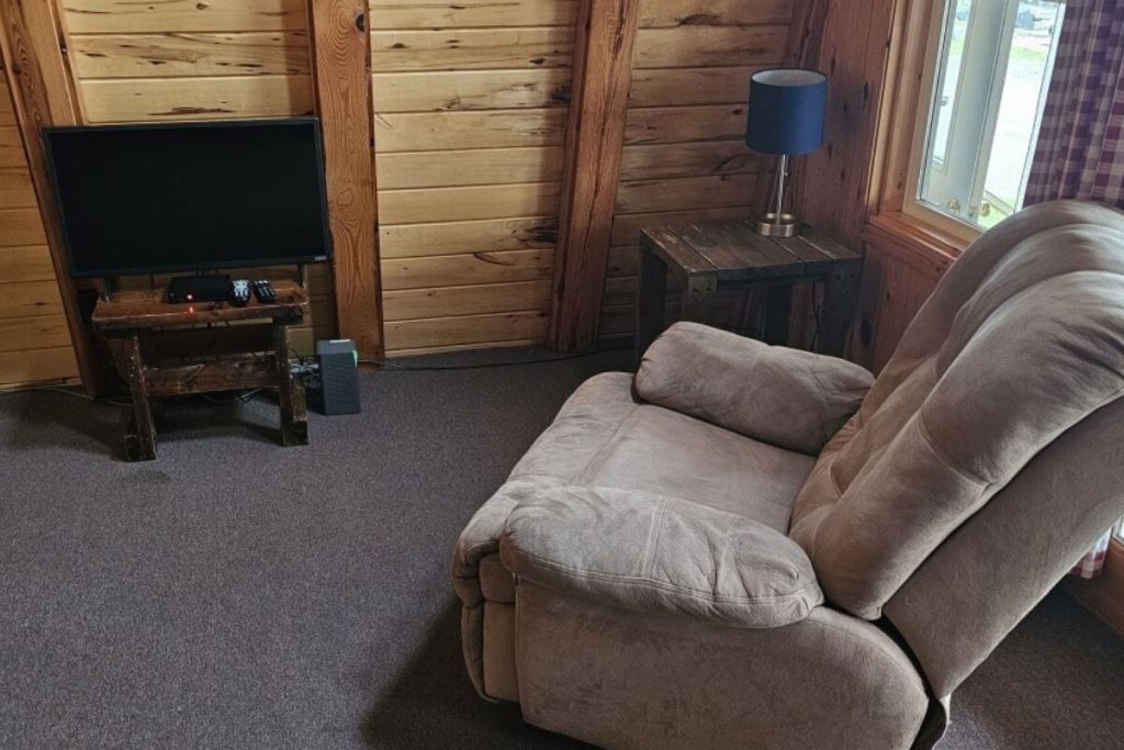 Alpine Cabin #21 - Recliner in Living Room