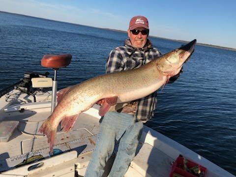 Angler Al Ruzek Shows Off Trophy Muskie on Cass Lake