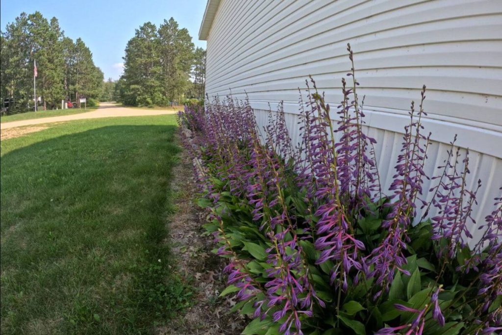 Cottage #9 - Exterior Landscape